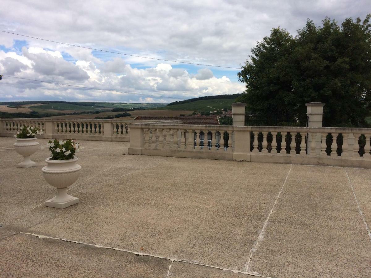 Chambres D'Hotes Karine Smej Châtillon-sur-Marne Dış mekan fotoğraf