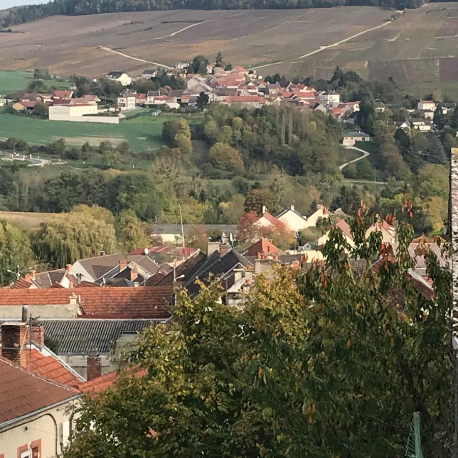 Chambres D'Hotes Karine Smej Châtillon-sur-Marne Dış mekan fotoğraf